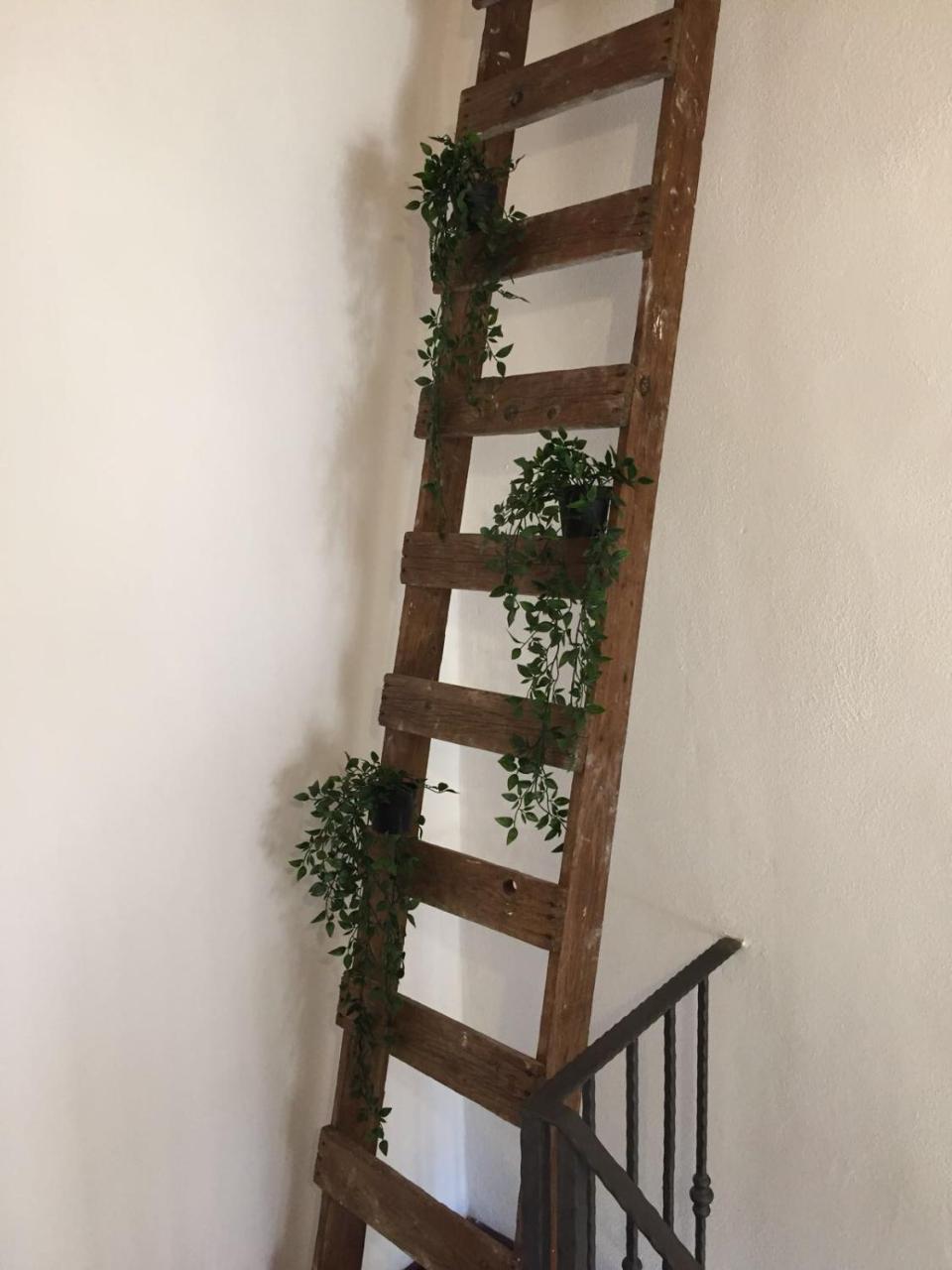 B&B La Corte San Francesco Bari Exteriér fotografie
